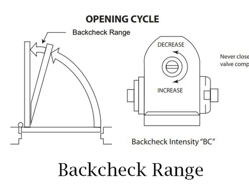 doo closer backcheck